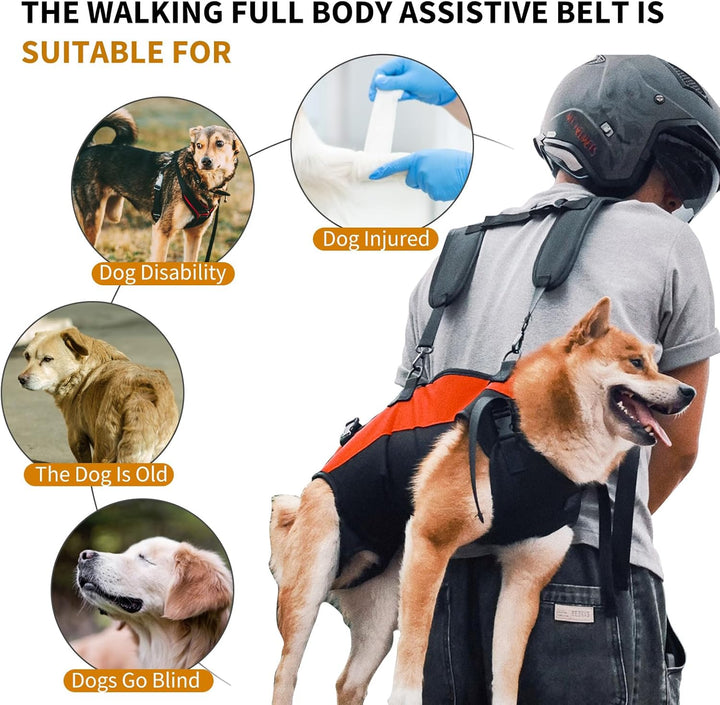 PETCUTE Hunde-Tragegeschirr,Hundegeschirr-Rucksack für grosse Hundes,Ganzkörpergeschirr mit Griff,Ve