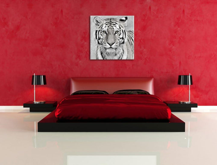 Pixxprint Anmutiger Tiger in Schwarz/Weiss, Format: 70x70 auf Leinwand, 70x70
