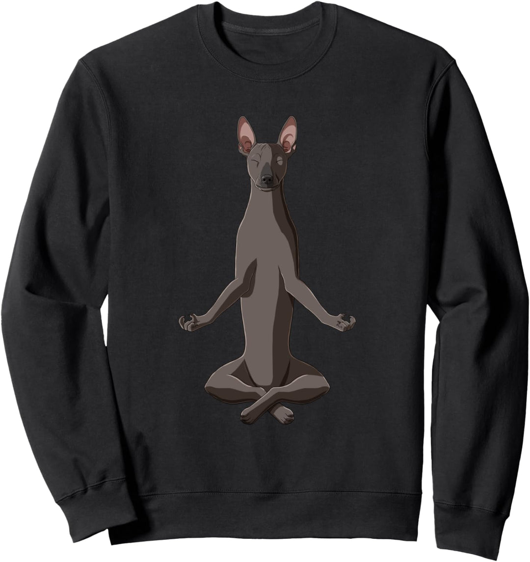 Yoga Mexikanischer Nackthund Hund Xoloitzcuintle Sweatshirt