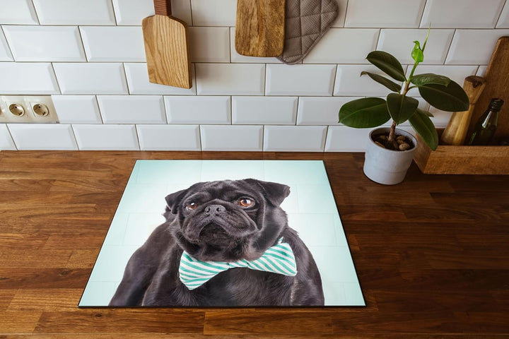 Lustiger Mops mit Fliege Herdabdeckplatte & Spritzschutz aus Echtglas | Für Herd-Kochfelder | 60x52