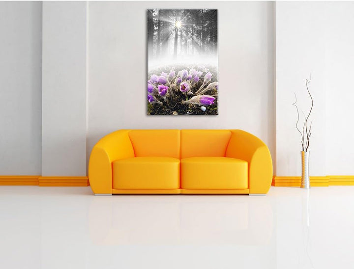 Pixxprint blühende lila Blumen im Wald B&W Detail, Format: 100x70 auf Leinwand, 100x70