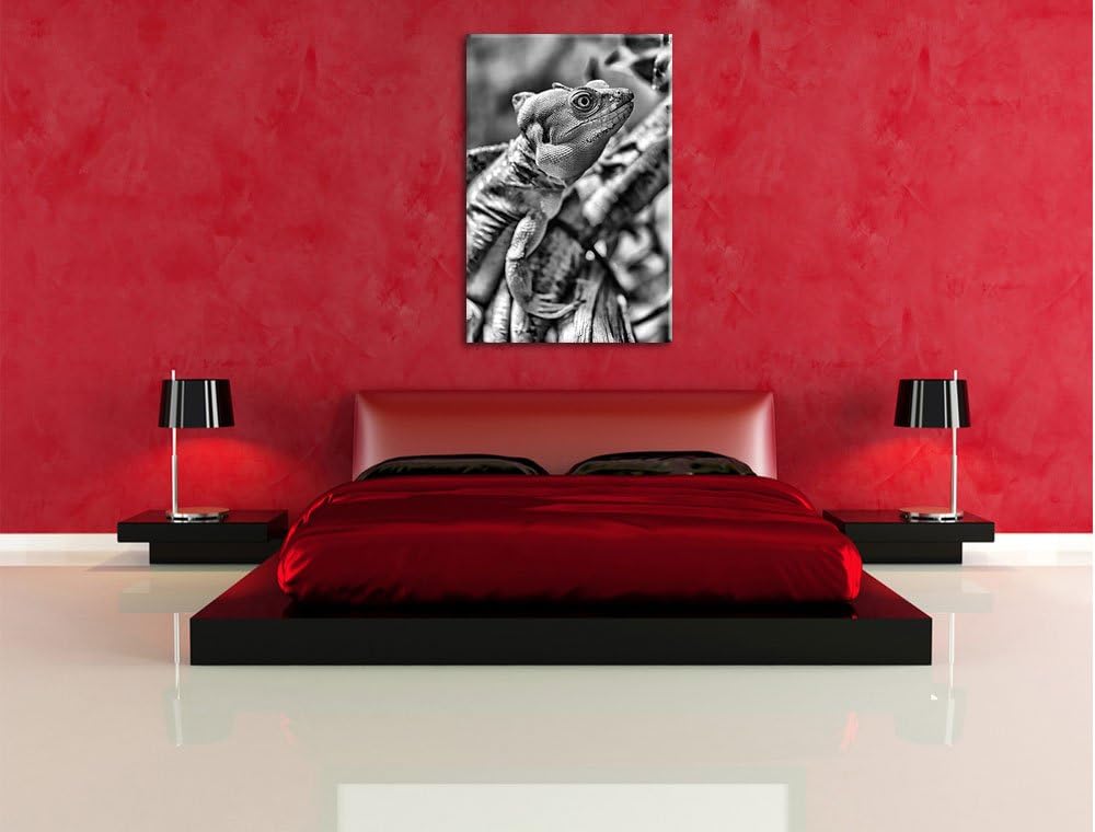 Pixxprint Monocrome, grünes Chamäleon, Format: 100x70 auf Leinwand, 100x70