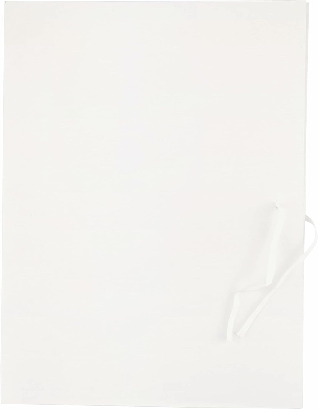 D.RECT - Sammelmappe aus Karton | Mappe mit Bandverschluss | Sichere Aufbewahrung und Transportieren