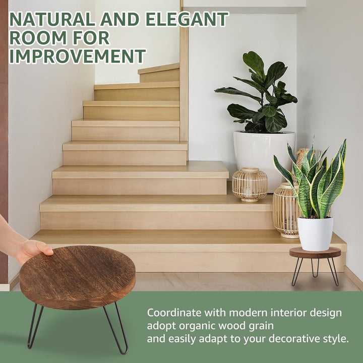 Pflanzenhocker Holz Modern 25cm Plantings Halter Kit Stall Robuste Mitte des Jahrhunderts Pflanzunge