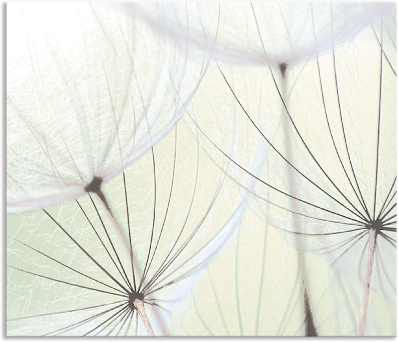 ARTland Spritzschutz Küche aus Alu für Herd Spüle 70x60 cm (BxH) Küchenrückwand mit Motiv Blume Pust