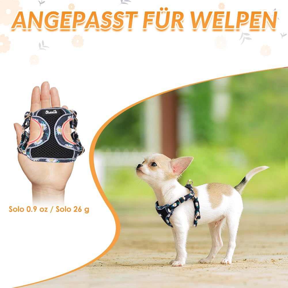 Eyein Hundegeschirr Kleine Hunde mit Leine, Atmungsaktiv Air Mesh Brustgeschirrmit reflektierenden S