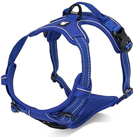 WINHYEPET Truelove Hundegeschirr No-Pull Reflektierendes verstellbar Haustiergeschirr mit 2 Leinencl