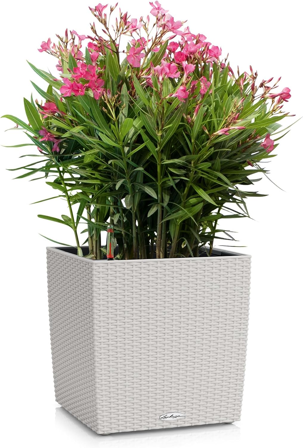 Lechuza Cube Cottage 30 Komplettset lichtgrau Pflanzgefäss mit Erd-Bewässerungs-System 29.5 x 29.5 x