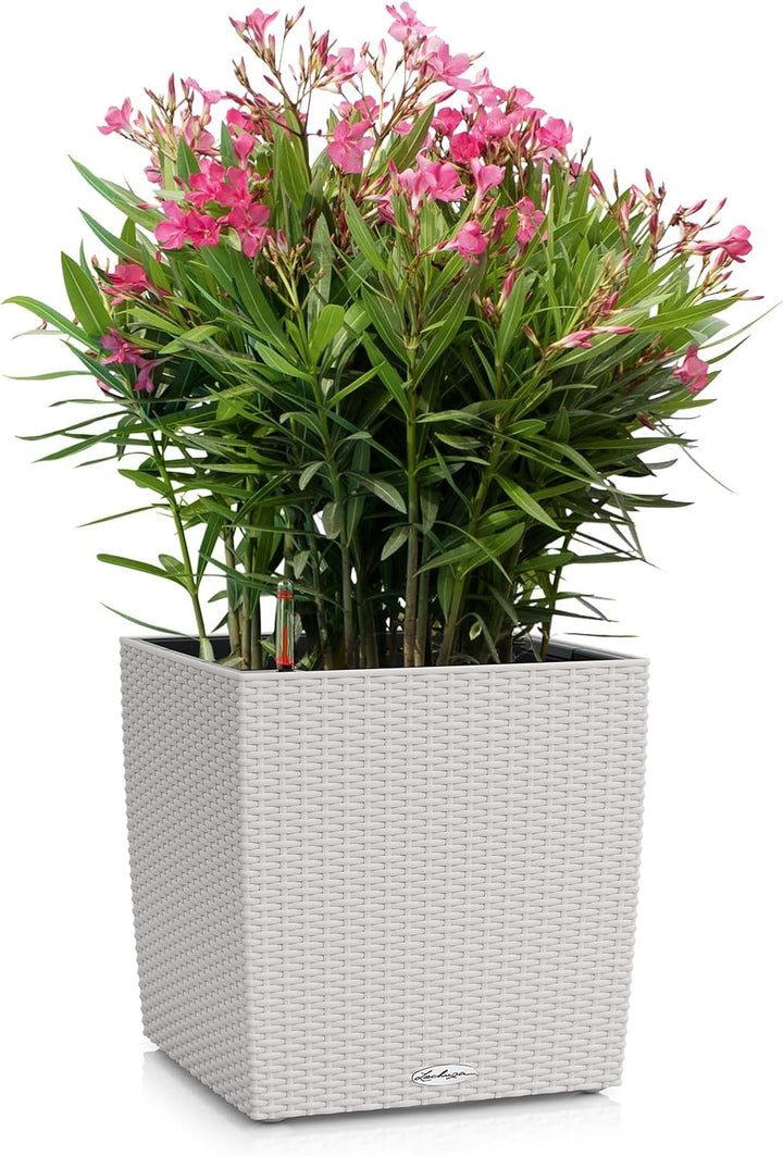 Lechuza Cube Cottage 30 Komplettset lichtgrau Pflanzgefäss mit Erd-Bewässerungs-System 29.5 x 29.5 x