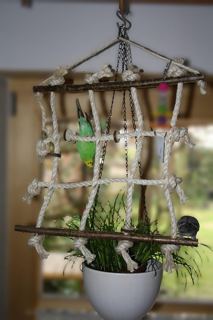 Vogelgaleria® Kletterspielzeug für Vögel aus Sisal und Naturholz - 3 in 1 (Klettern, Sitzen, Knabber