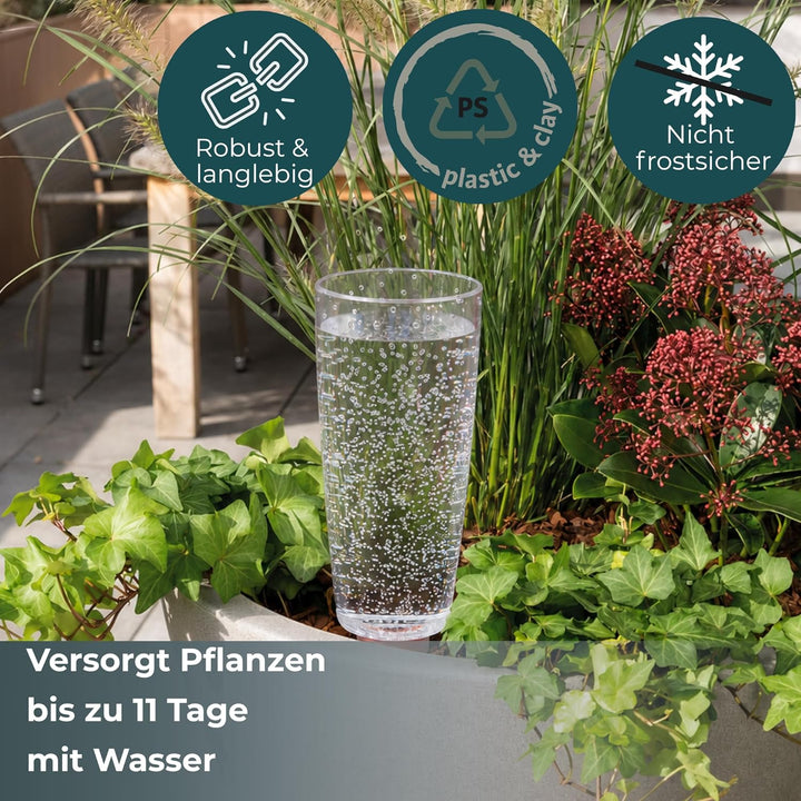 Scheurich Copa XL Bewässerung Wasserspender Bewässerungskugel grün transparent 2, 2