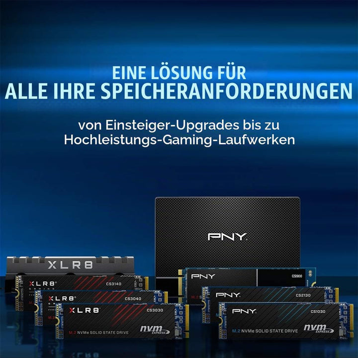 PNY CS900 500GB 2.5” SATA III Internal Solid State Drive (SSD) - (SSD7CS900-500-RB) 500GB 2.5 SATA,