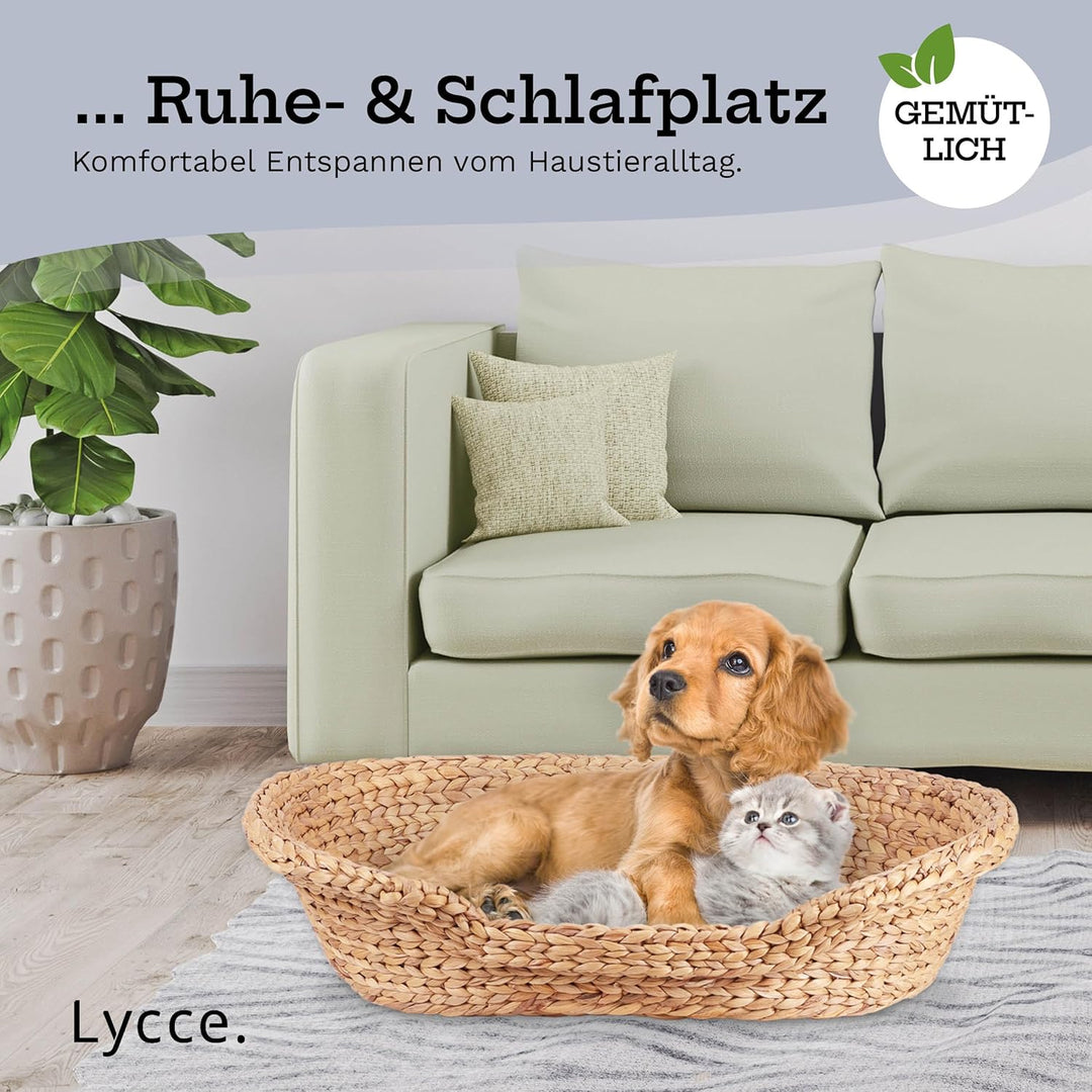 Katzenbett Hundebett für kleine Hunde | Kissen waschbar bei 30° | ovale Form mit hohem Rand | Wasser