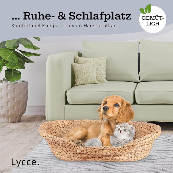 Katzenbett Hundebett für kleine Hunde | Kissen waschbar bei 30° | ovale Form mit hohem Rand | Wasser
