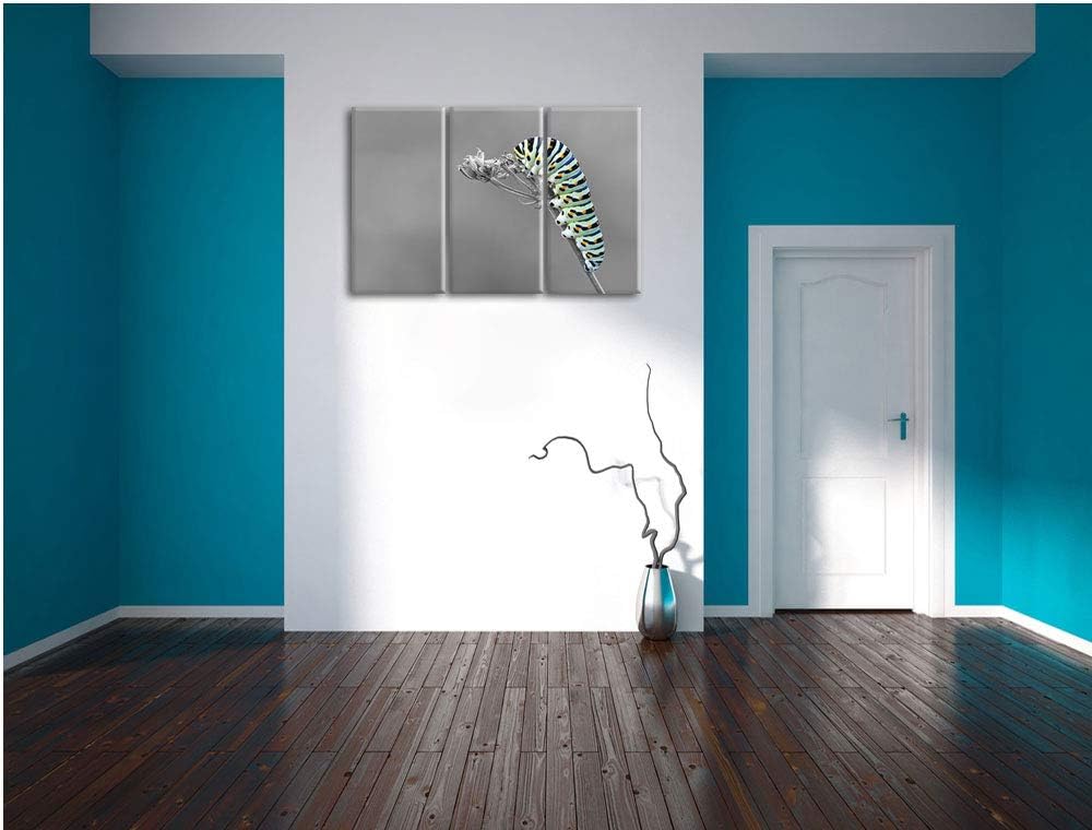 Grüne Raupe auf Ast Insekten Urwald Tiere schwarz/weiss 3-Teiler Leinwandbild 120x80 Bild auf Leinwa