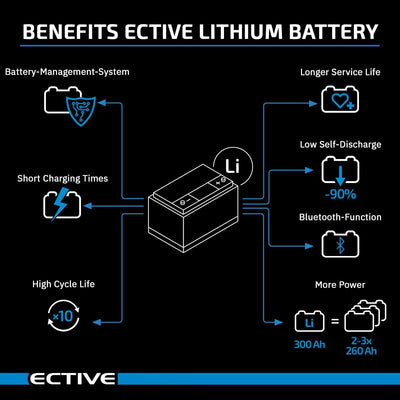 ECTIVE LC100 BT 12V 100Ah 1280Wh LiFePO4-Batterie mit Bluetooth-Funktion Lithium-Eisenphosphat Verso