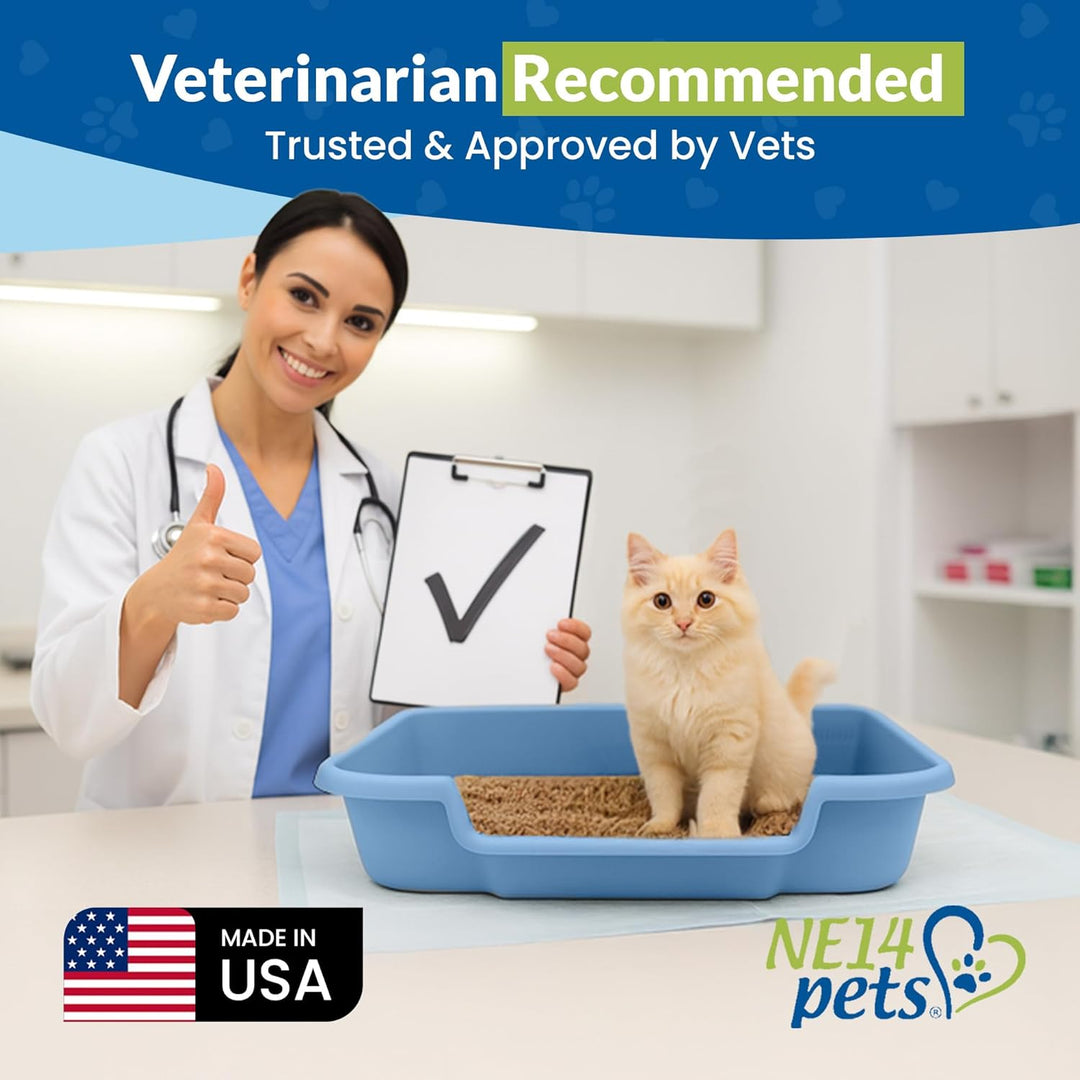Kitty Go Here Katzentoilette Senior, 61 x 50,8 x 12,7 cm, Blau, Blau Large (1 Pack)