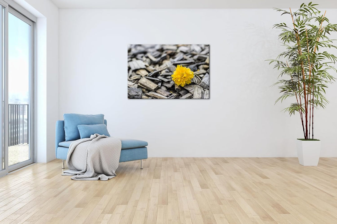 deyoli gelbe Blume auf Holz im Format: 80x60 als Leinwandbild, Motiv fertig gerahmt auf Echtholzrahm