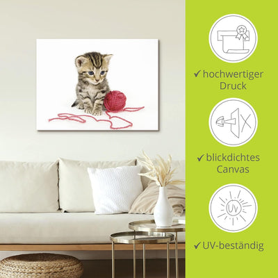 ARTland Leinwandbilder Wandbild Bild auf Leinwand 80x60 cm Katze Tiere Babykatze Haustiere Süss Mädc