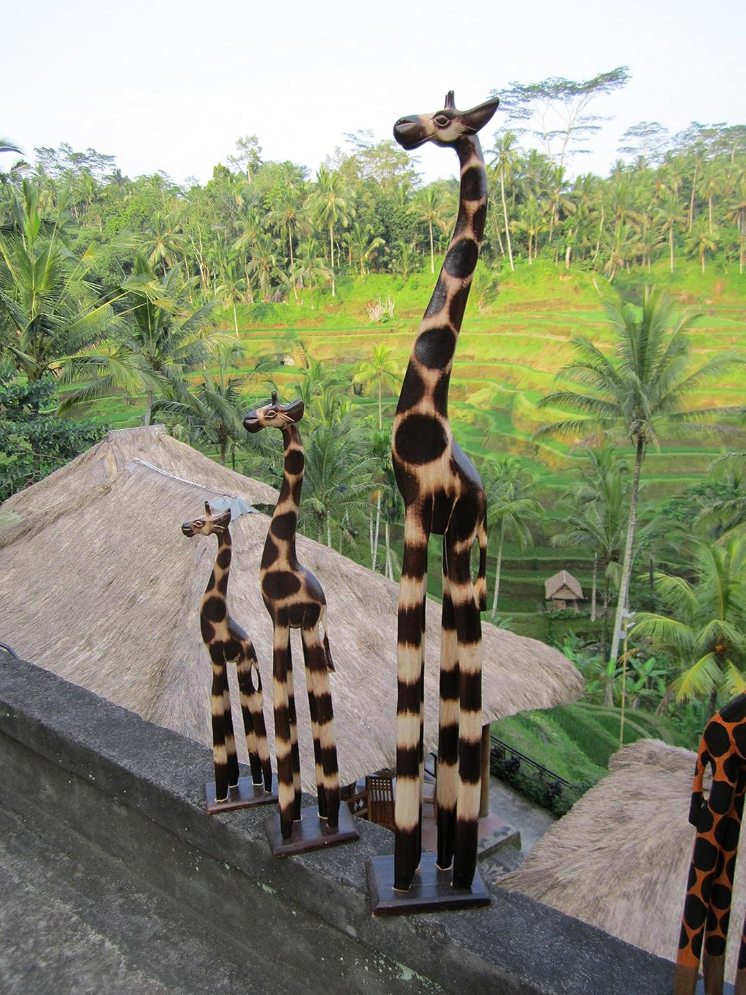 3 er Set 100cm 60cm 20cm Holz Holzgiraffen Familie Holzgiraffe Giraffe Afrika Stil GH