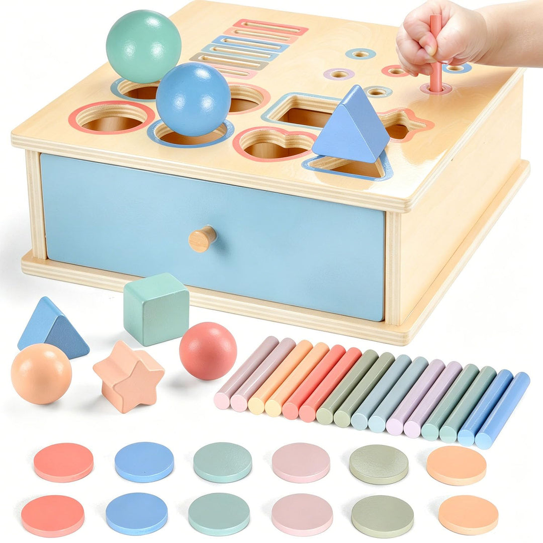Montessori Spielzeug ab 1 2 3 Jahr, Farbe Form Sortierspiel ab 1 Jahr, Holzspielzeug Montessori ab 2