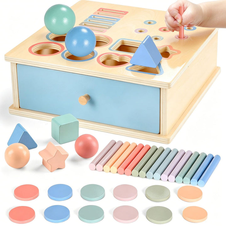 Montessori Spielzeug ab 1 2 3 Jahr, Farbe Form Sortierspiel ab 1 Jahr, Holzspielzeug Montessori ab 2