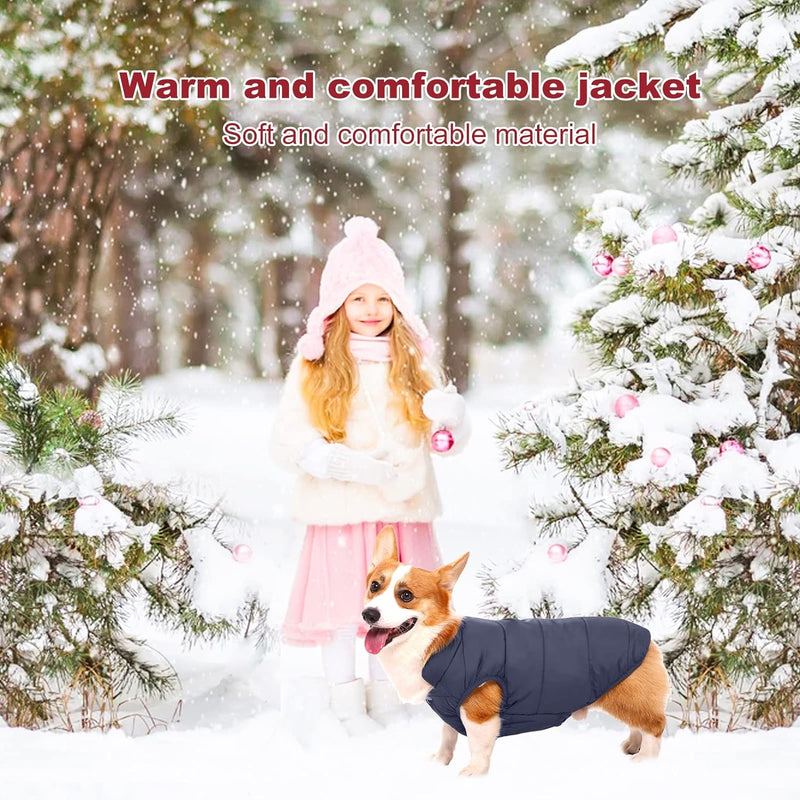 PETCUTE Hundemantel Hundebekleidung,Wintermantel,Haustier Kleidung Hundejacke für Kleine Mittlere Gr