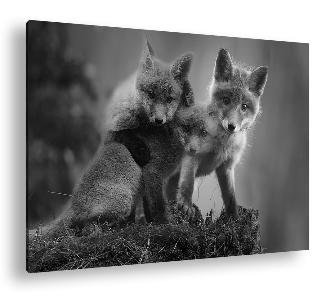 deyoli Kleine Familie von Rotfüchsen Format: 80x60 Effekt: Monocrome Blau als Leinwand, Motiv fertig