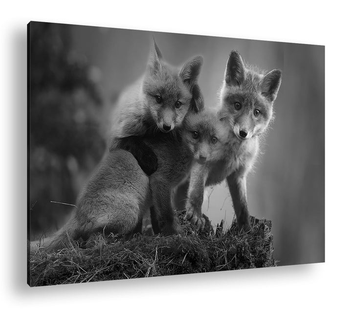 deyoli Kleine Familie von Rotfüchsen Format: 80x60 Effekt: Monocrome Blau als Leinwand, Motiv fertig