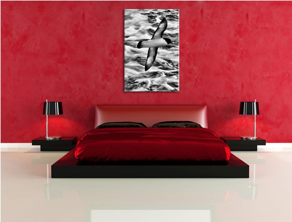 Pixxprint prächtige Möwe fliegt über Wasser als Leinwandbild/Grösse: 100x70 / Wandbild/Kunstdruck/fe