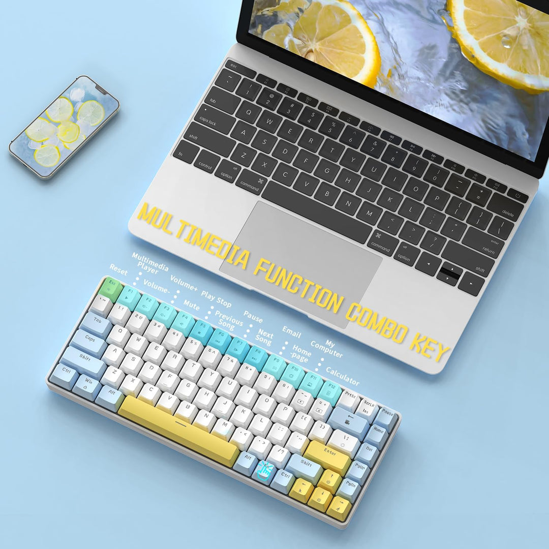 Hot-Swap-fähige mechanische Gaming-Tastatur,80% kabelgebunden tragbar gemischte Farben kompakte Tast
