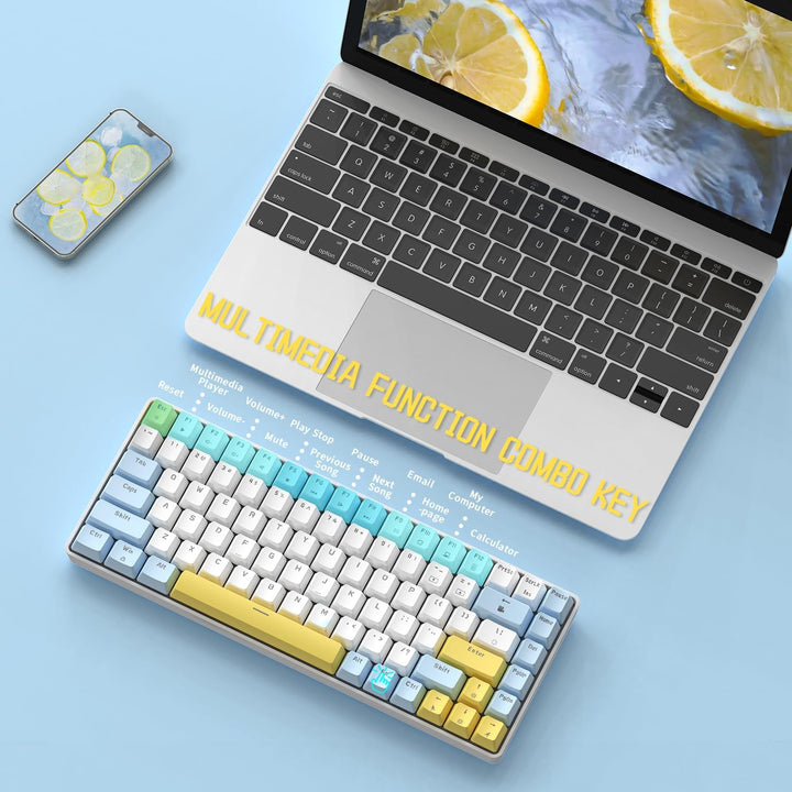 Hot-Swap-fähige mechanische Gaming-Tastatur,80% kabelgebunden tragbar gemischte Farben kompakte Tast