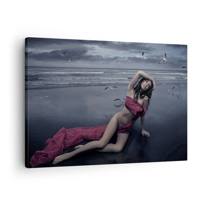 ARTTOR Bilder auf Leinwand Modell Möwe Vogel Natur Leinwandbild 70x50cm Wandbilder Dekoration Wohnzi