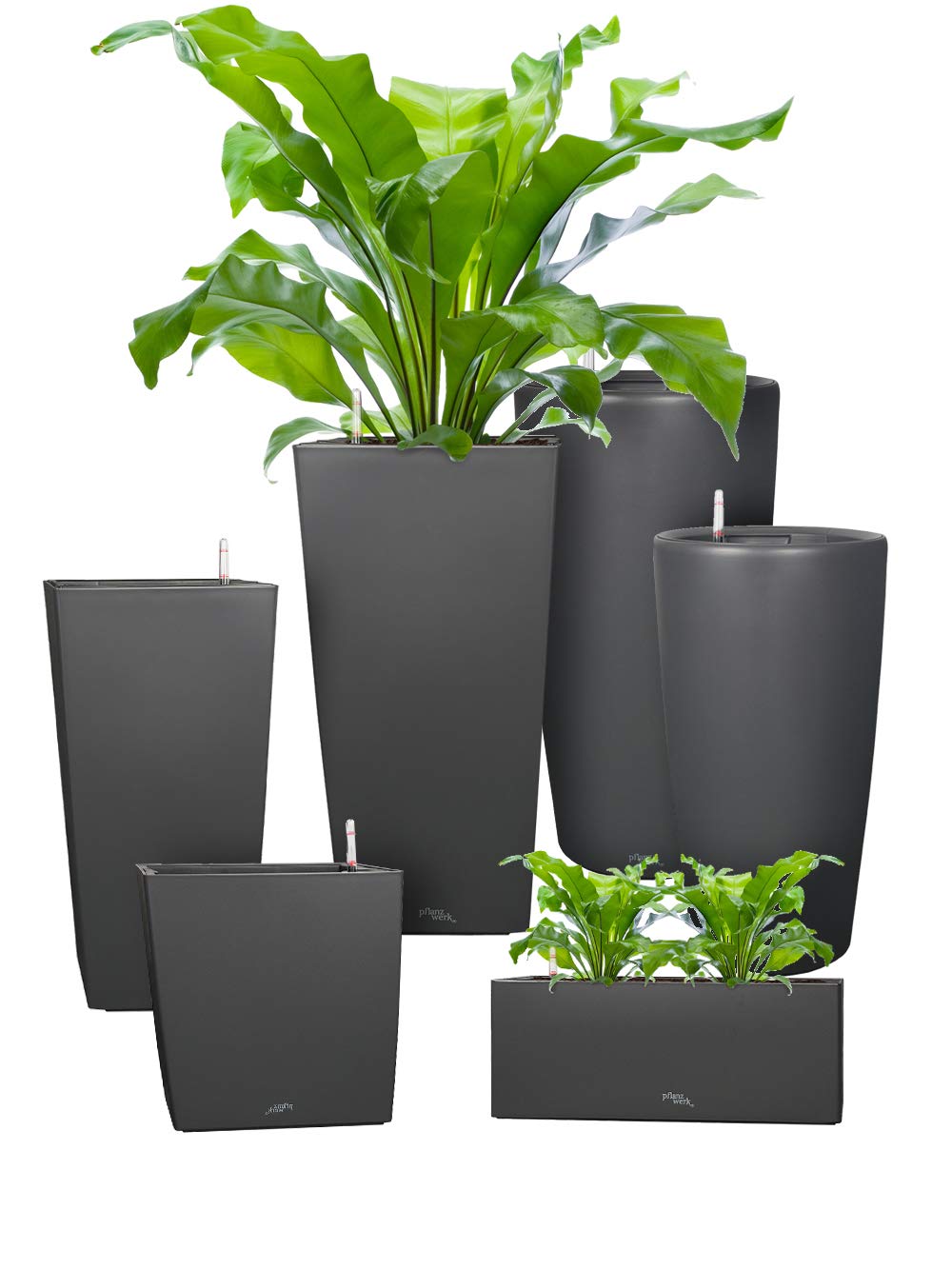 Pflanzwerk® ÖKOSYSTEM Pflanzkübel Square - Blumentöpfe Übertöpfe mit BEWÄSSERUNGSSYSTEM - 55x30x30cm