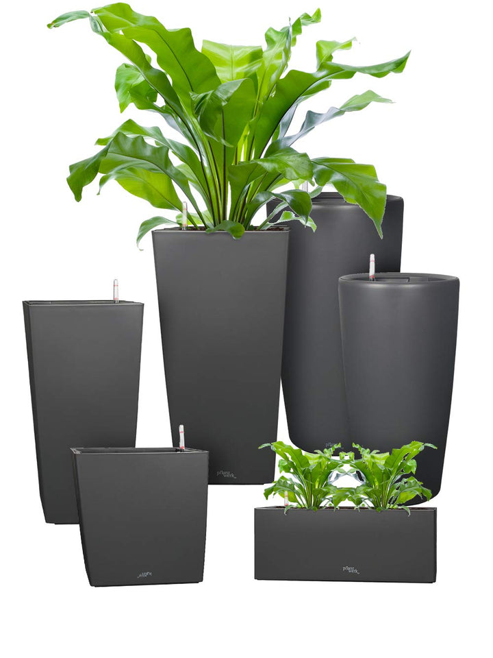 Pflanzwerk® ÖKOSYSTEM Pflanzkübel Square - Blumentöpfe Übertöpfe mit BEWÄSSERUNGSSYSTEM - 55x30x30cm