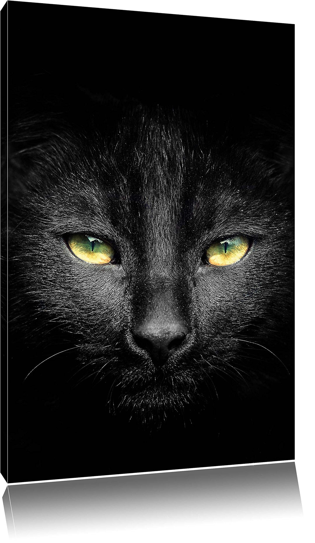 Pixxprint Dark schwarzes Katzengesicht als Leinwandbild/Grösse: 100x70 / Wandbild/Kunstdruck/fertig