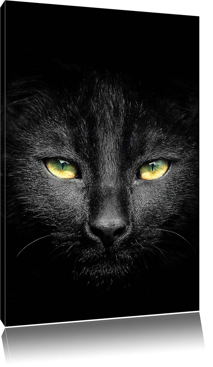Pixxprint Dark schwarzes Katzengesicht als Leinwandbild/Grösse: 100x70 / Wandbild/Kunstdruck/fertig