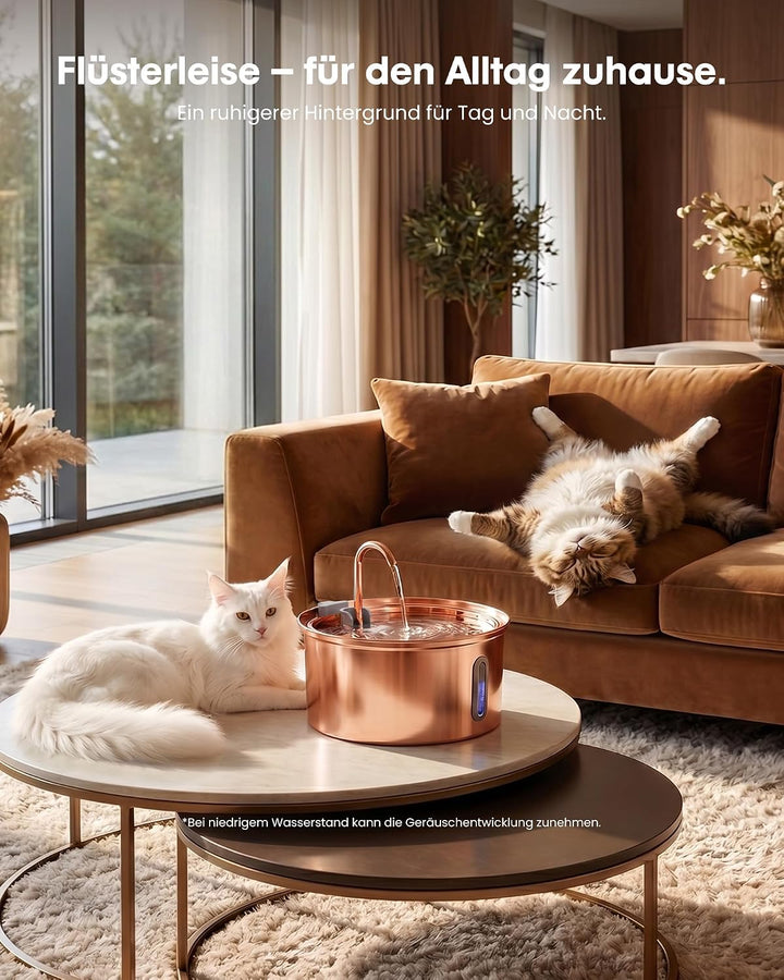 Kittyspout Katzenbrunnen 3,2L aus Edelstahl, mit 3 Filtern und Sichtfenster | Besonders leiser Trink