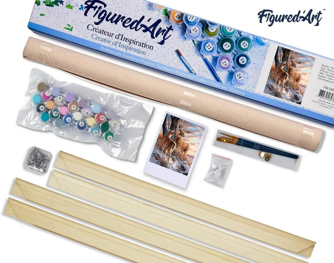 Figured'Art Malen Nach Zahlen Erwachsene Mit Rahmen Hirsch im Winter - Paint by Numbers Basteln DIY