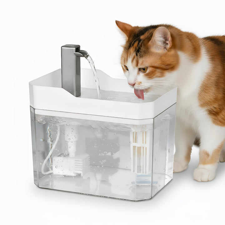 Katzenbrunnen 1.5L - Extrem Leiser Trinkbrunnen für Katzen mit Professionellem Filtersystem und USB-