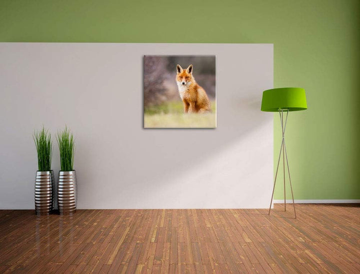 Pixxprint Listiger Fuchs, Format: 70x70 auf Leinwand, XXL riesige Bilder fertig gerahmt mit Keilrahm