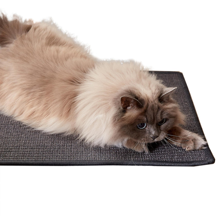 Kratzmatte für Katzen - Fussmatte Sisal Kratzteppich - natürliche Sisalmatte robust - Vorleger aus 1