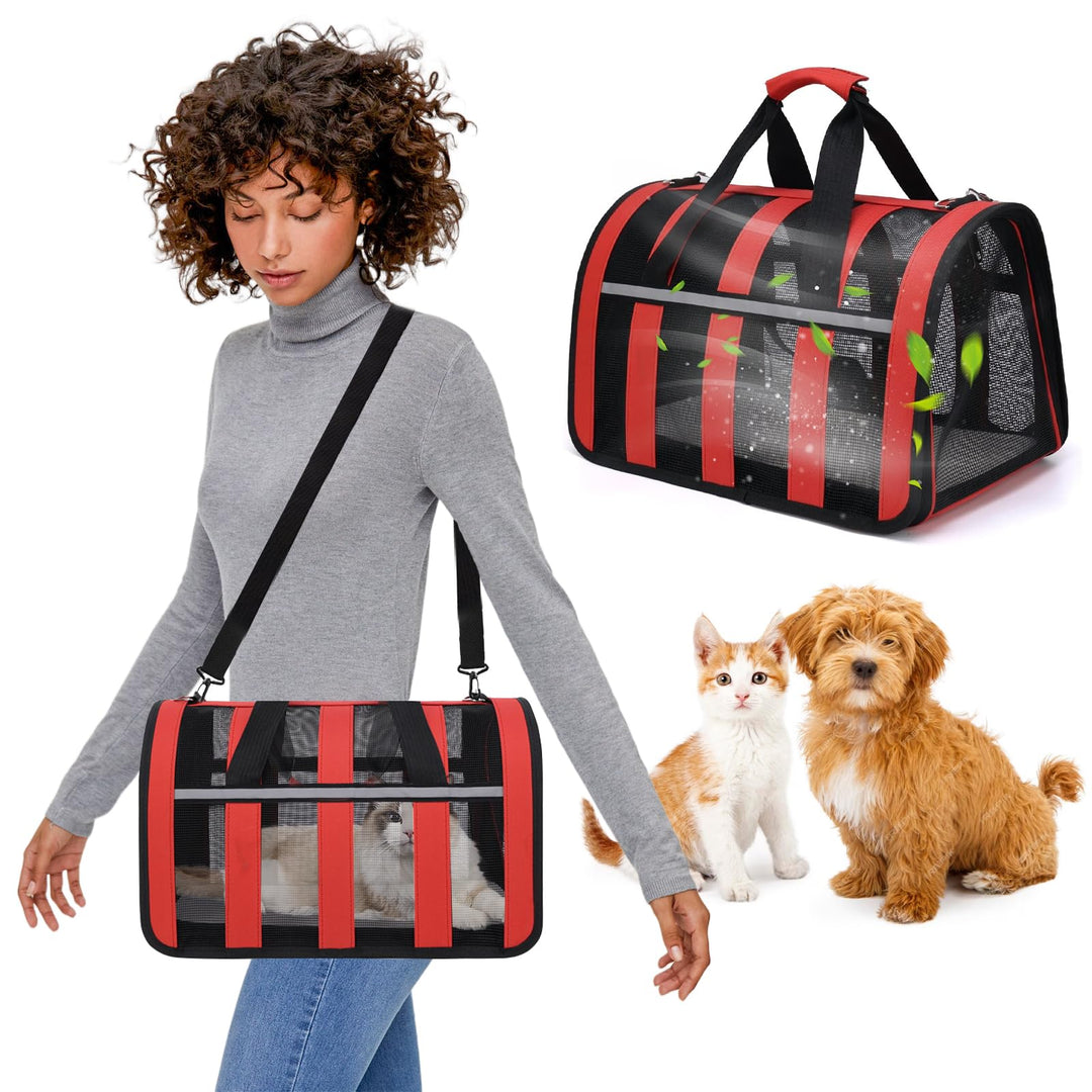 PETCUTE Transporttasche für Katze Hund,Hunde Transportboxen mit Reflektierenden Streifen,Faltbare Hu
