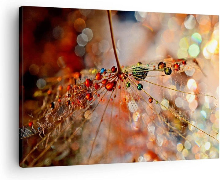 Bilder auf Leinwand Spinnennetz modern Leinwandbild mit Rahmen 70x50cm Wandbilder Dekoration Wohnzim
