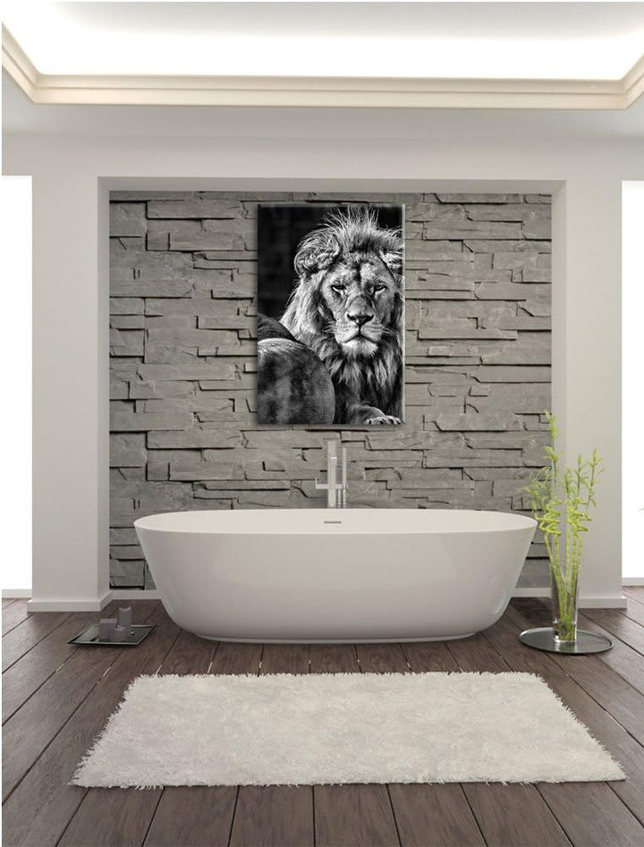 Pixxprint Monocrome, schönes Löwenpaar, Format: 100x70 auf Leinwand, 100x70