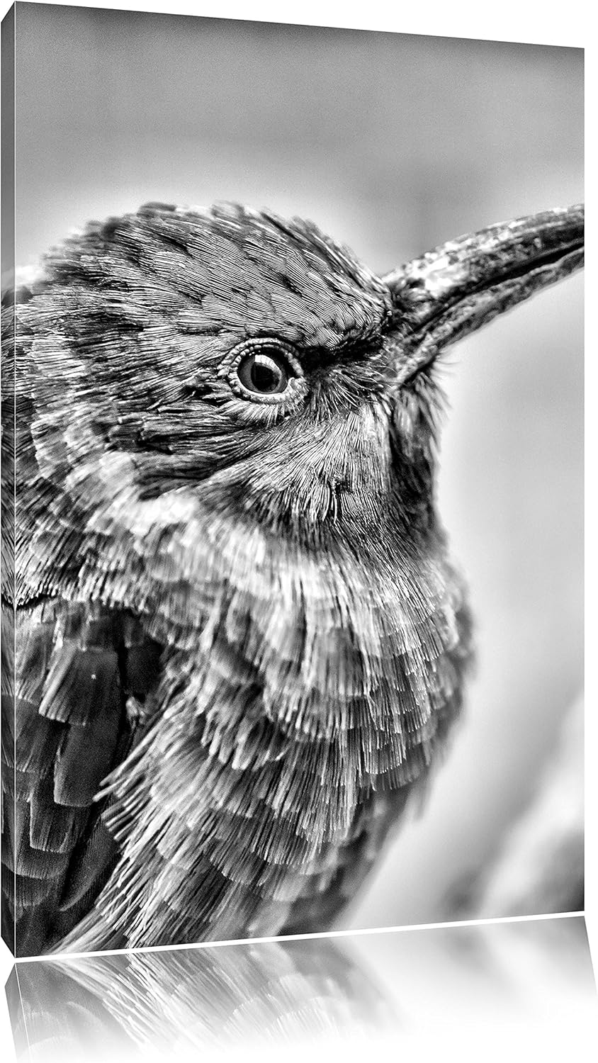 Pixxprint Monocrome, Kleiner tropischer Vogel, Format: 100x70 auf Leinwand, 100x70