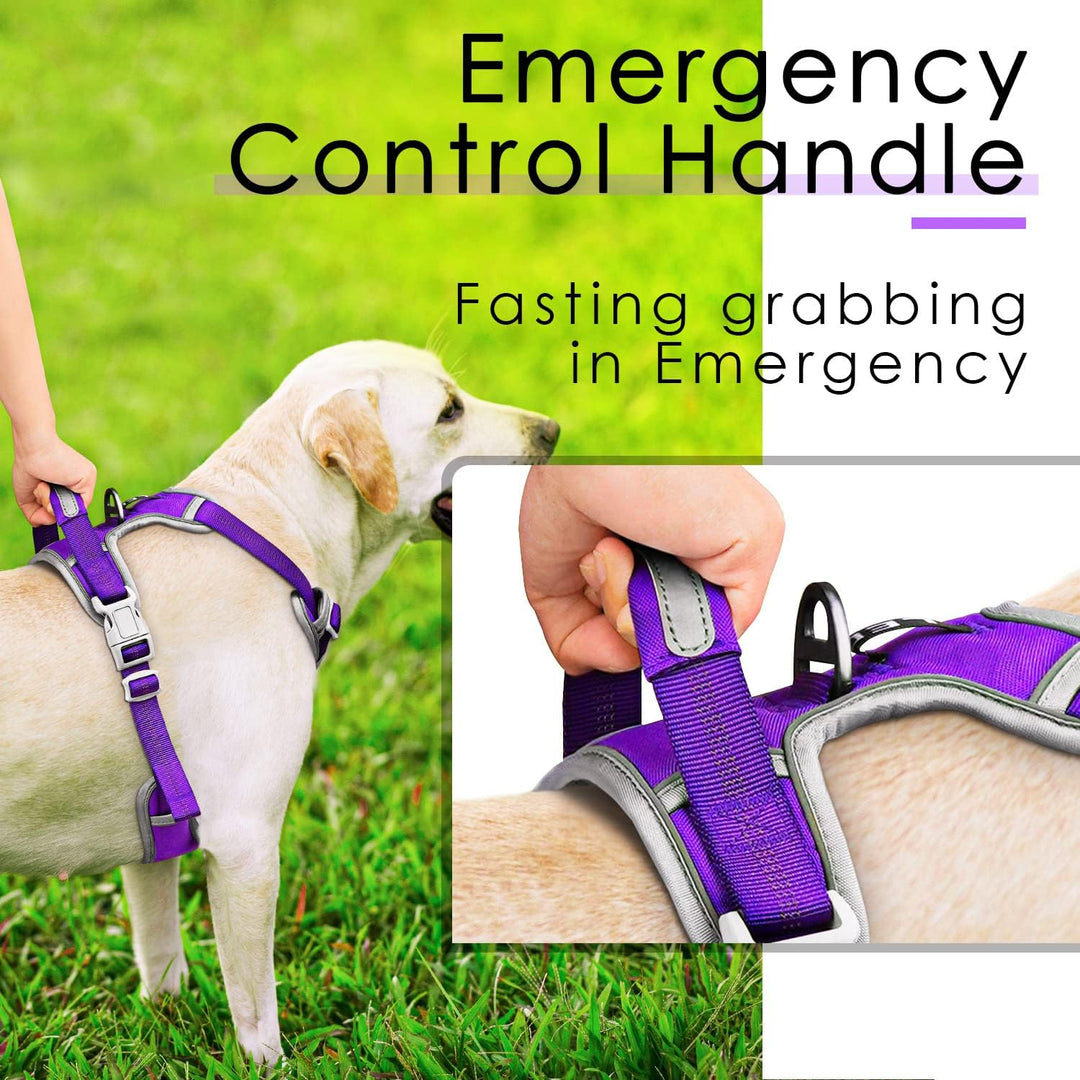 ThinkPet No-Pull Hundegeschirr, Atmungsaktiv Brustgeschirr für Kleine Mittlere Grosse Hunde, Einstel