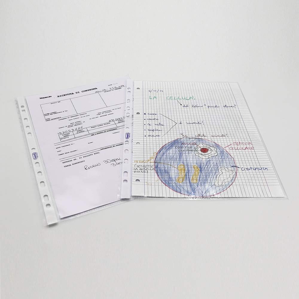 Buste foratura universale Liscio Super Clear Favorit -Superior- 22x30 cm -bianco-01022501 (conf.500)