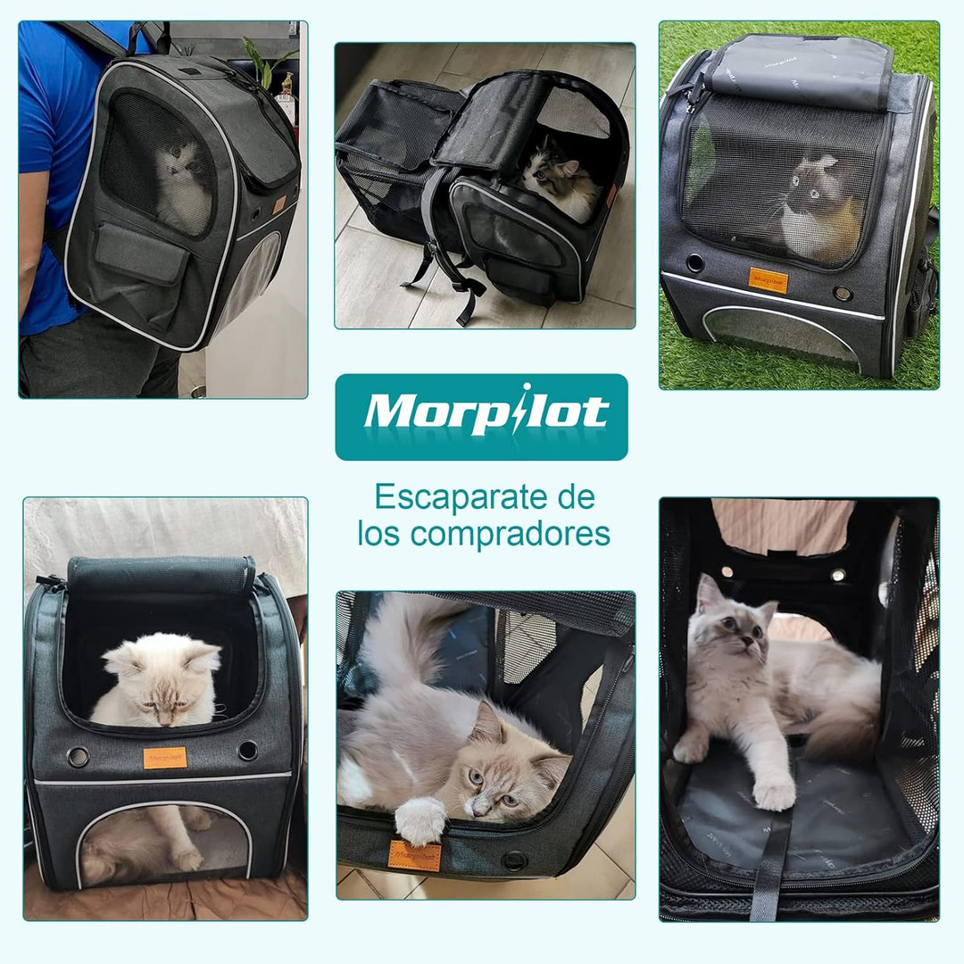 Morpilot Erweiterbar Katzenrucksack Grosse Katzen, Hunderucksack bis 8 kg Katzen Rucksack Gross für