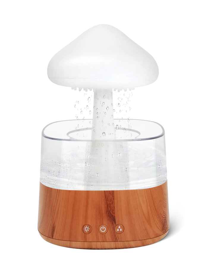 RUIZHI Rain Cloud Humidifier - 450ml Luftbefeuchter, Stimmungslicht Aroma Diffuser 30dB, 3 Modi Rege